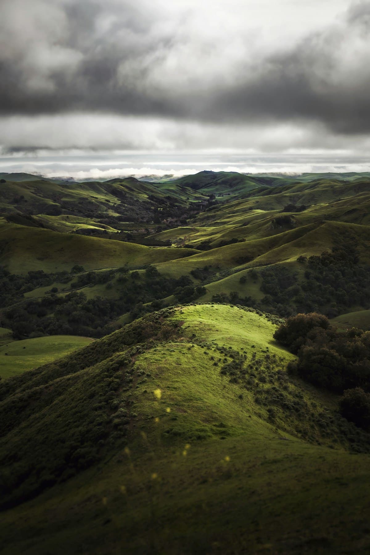 East Bay rolling hills